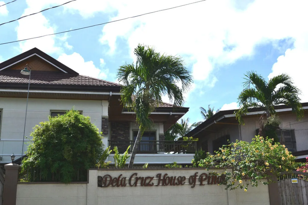 Kalibo Pasalubong - Dela Cruz House of Pina