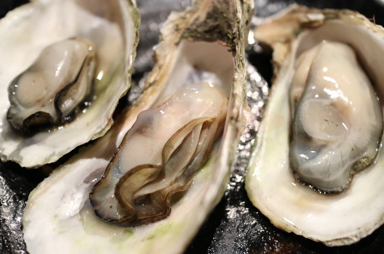 Aklan Oysters