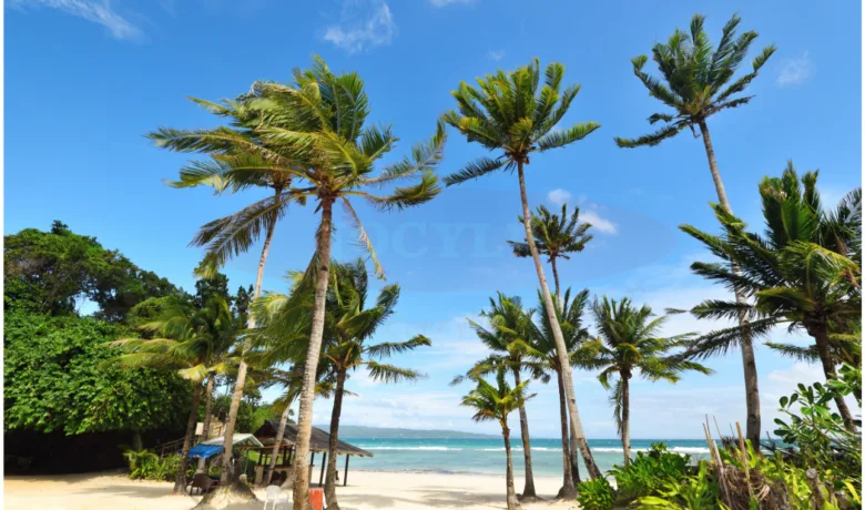 Boracay Island Aklan, Philippines: Your Tropical Getaway