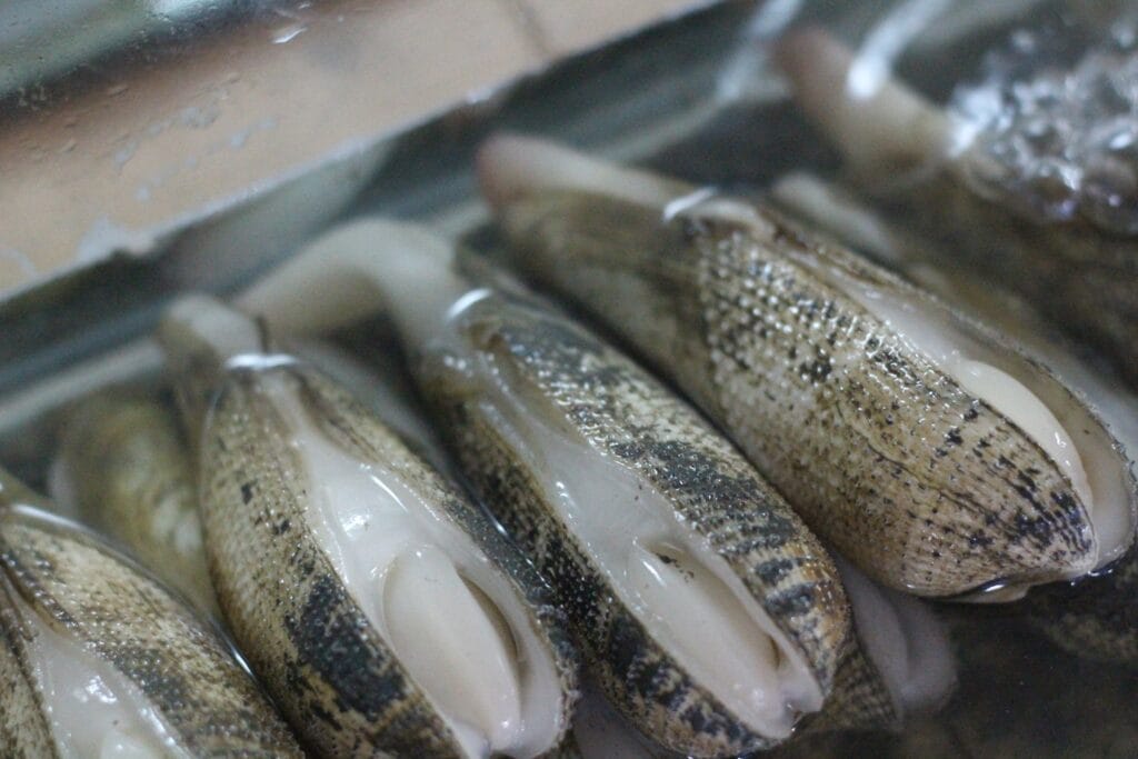 capiz delicacies online delivery