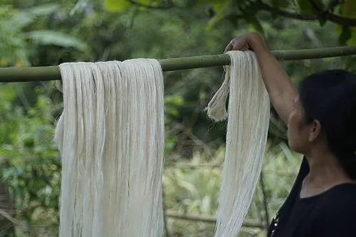 Aklan Pasalubong - Pina & Abaca Cloth